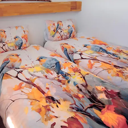 416, Am Kurpark 3, 38700 Apartament