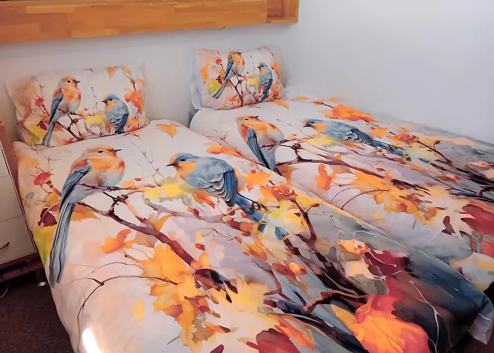 416, Am Kurpark 3, 38700 公寓