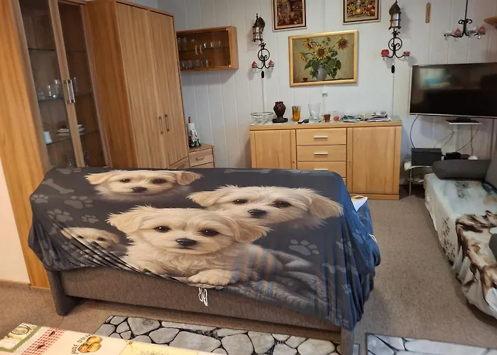 Apartman 416, Am Kurpark 3, 38700 *